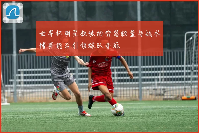 世界杯明星教练的智慧较量与战术博弈能否引领球队夺冠